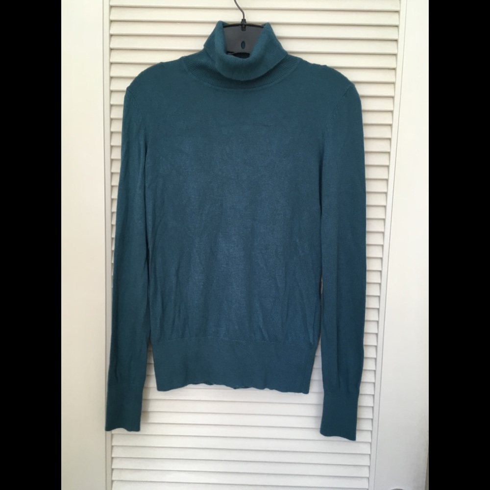 Teal turtleneck
